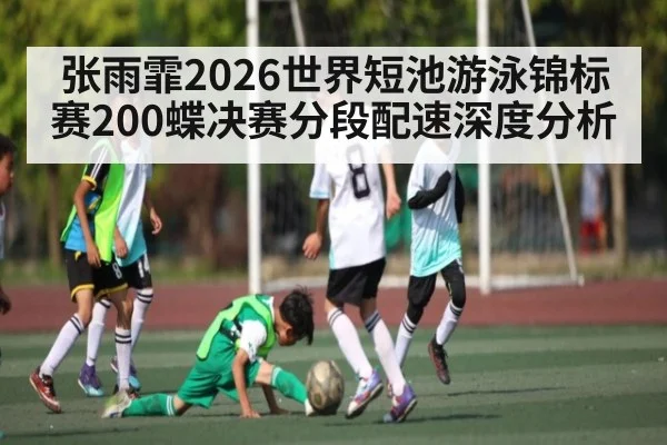 张雨霏2026世界短池游泳锦标赛200蝶决赛分段配速深度分析